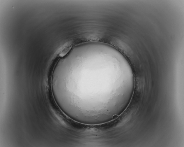 X0000088150634200705211157