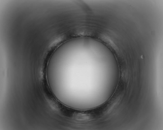 X0000088150635200705211157