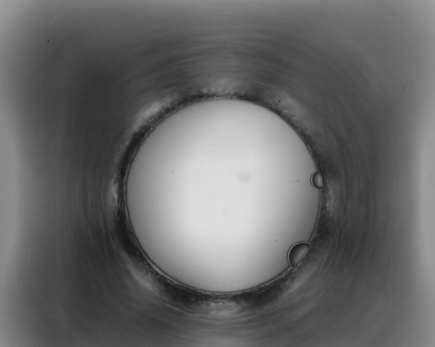 X0000088150636200705211157