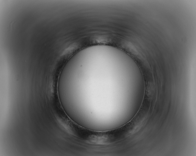 X0000088150639200705211157