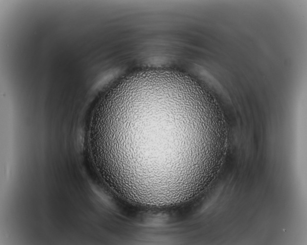 X0000088150640200705211157