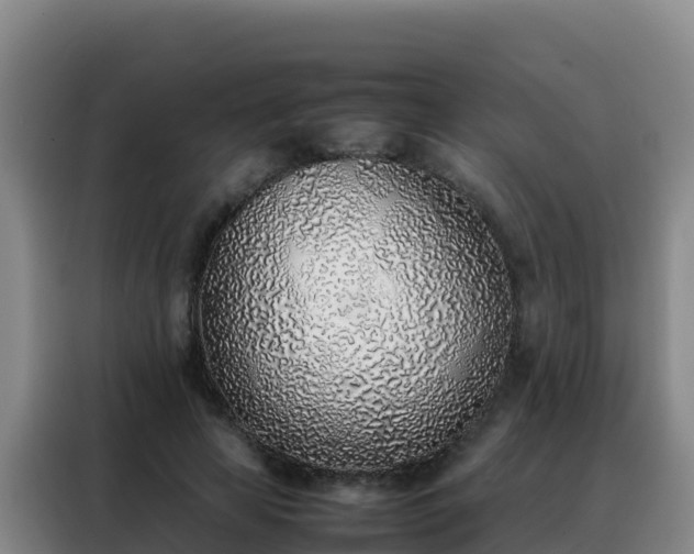 X0000088150641200705211157