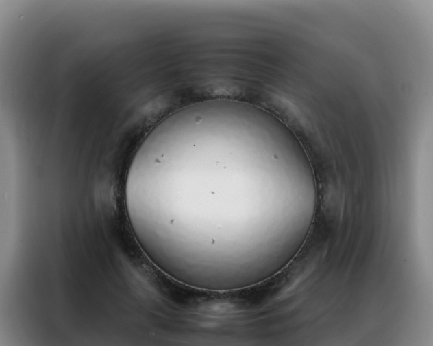 X0000088150643200705211157