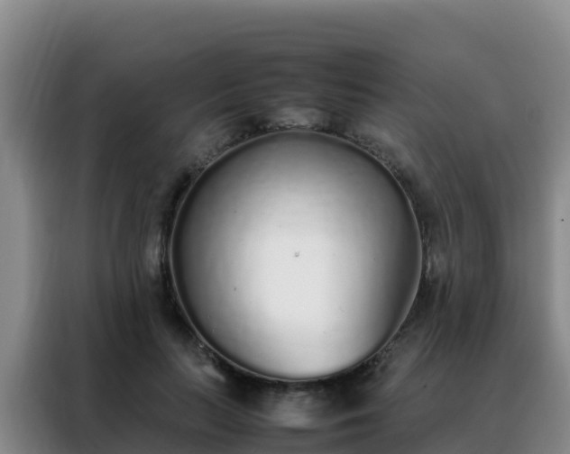 X0000088150647200705211157