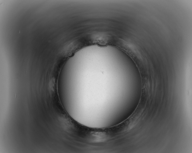 X0000088150649200705211157