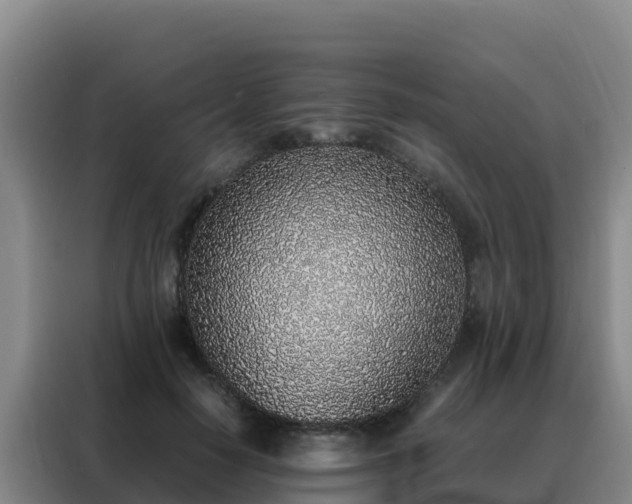 X0000088150650200705211157