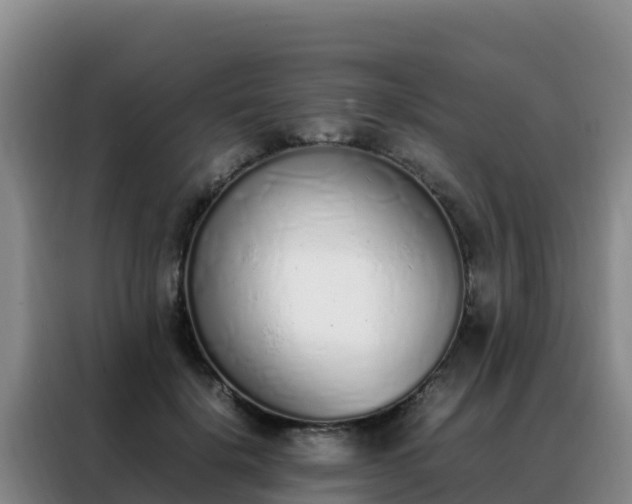 X0000088150652200705211157