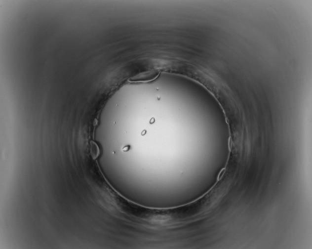 X0000088150653200705211157