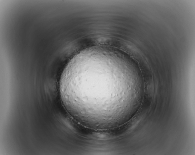 X0000088150654200705211157