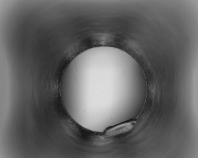 X0000088150657200705211157