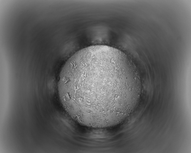 X0000088150659200705211157