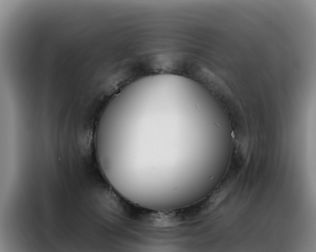 X0000088150660200705211157