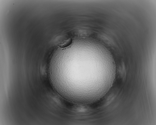 X0000088150663200705211157