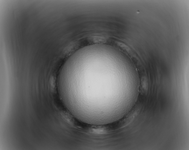 X0000088150667200705211157