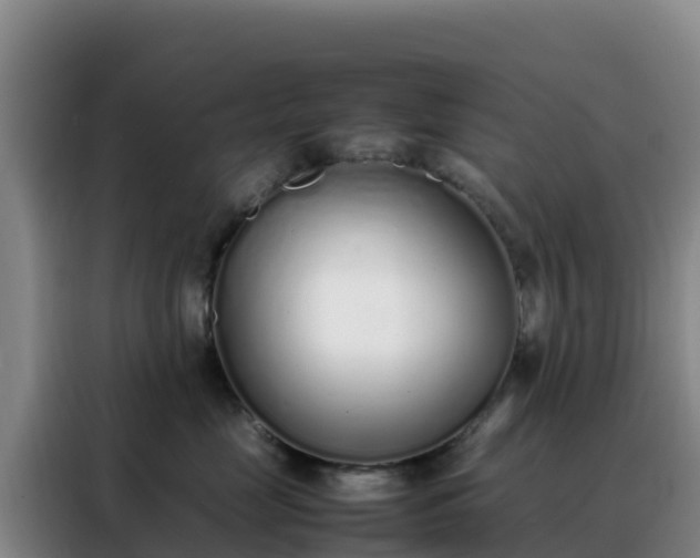 X0000088150669200705211157