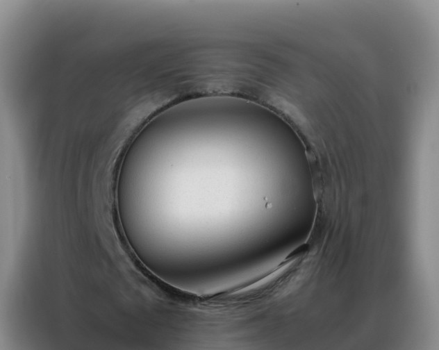 X0000088150673200705211156