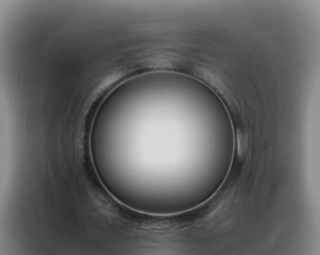 X0000088150675200705211156