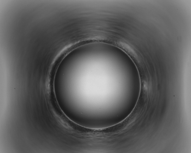 X0000088150676200705211156