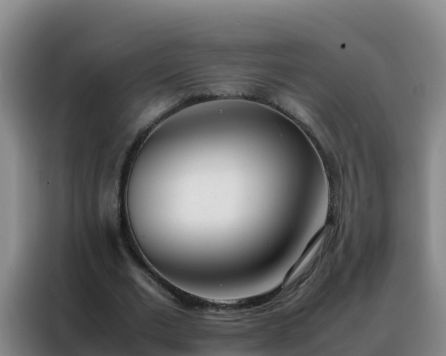 X0000088150677200705211156