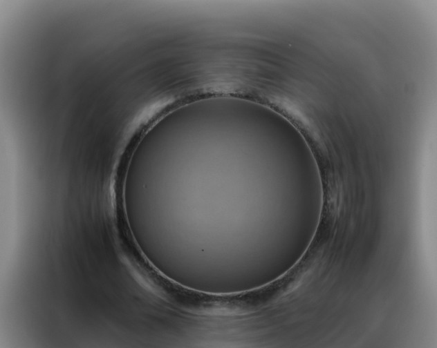 X0000088150678200705211156