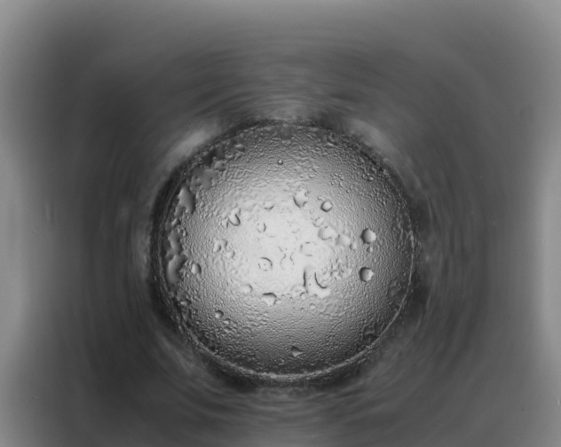 X0000088150679200705211156