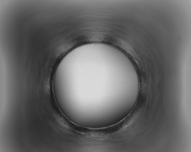 X0000088150681200705211156