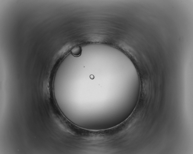 X0000088150682200705211156