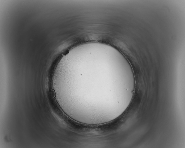 X0000088150683200705211156