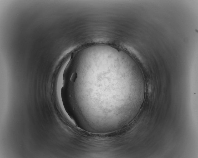 X0000088150684200705211156