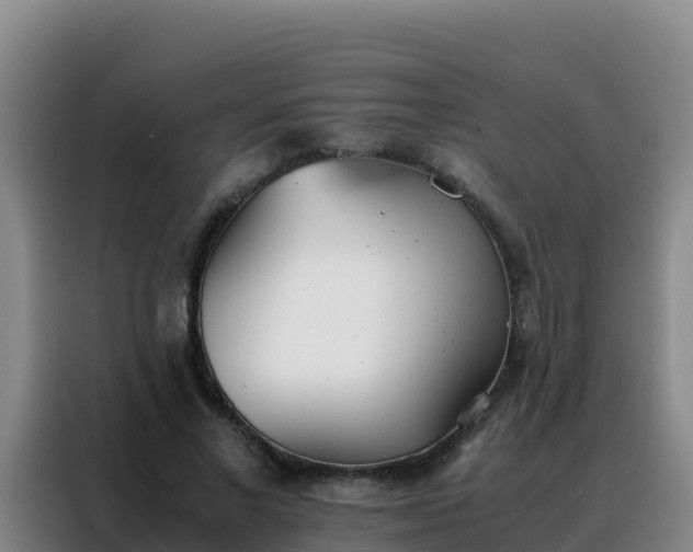 X0000088150685200705211156