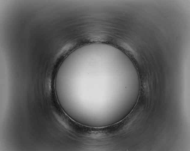 X0000088150686200705211156