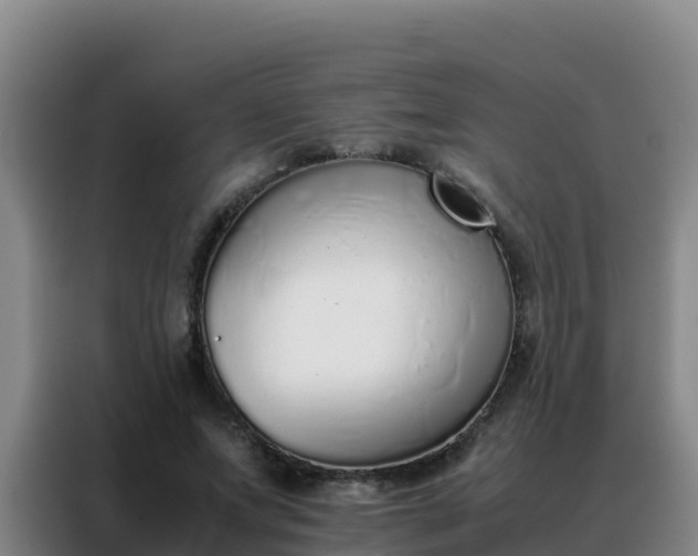 X0000088150687200705211156