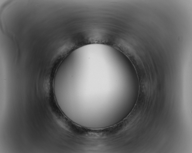 X0000088150690200705211156