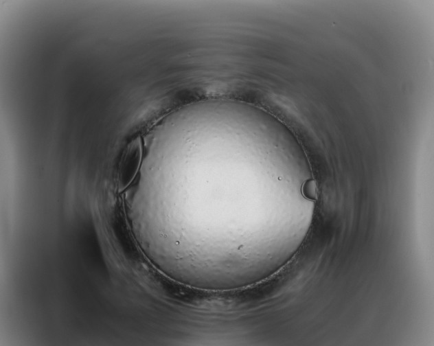 X0000088150691200705211156