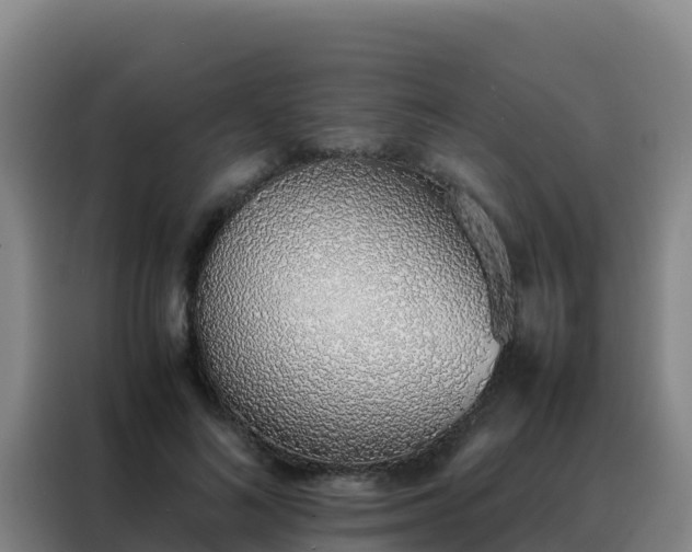 X0000088150692200705211156