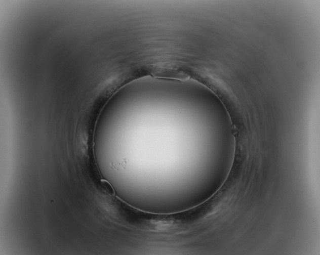 X0000088150693200705211156