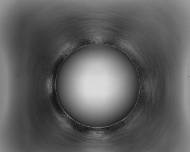 X0000088150694200705211156