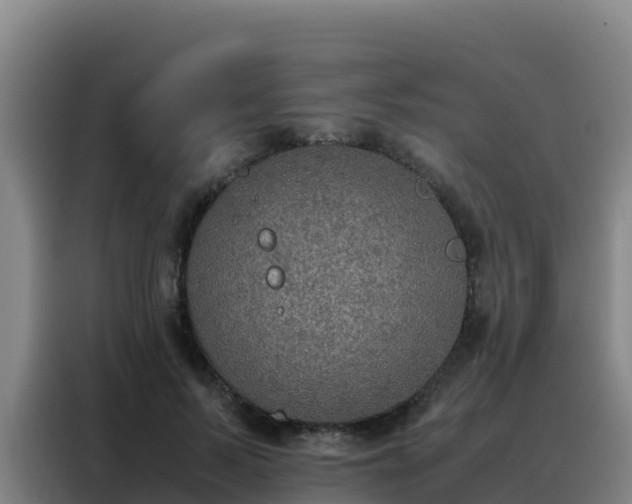 X0000088150695200705211156