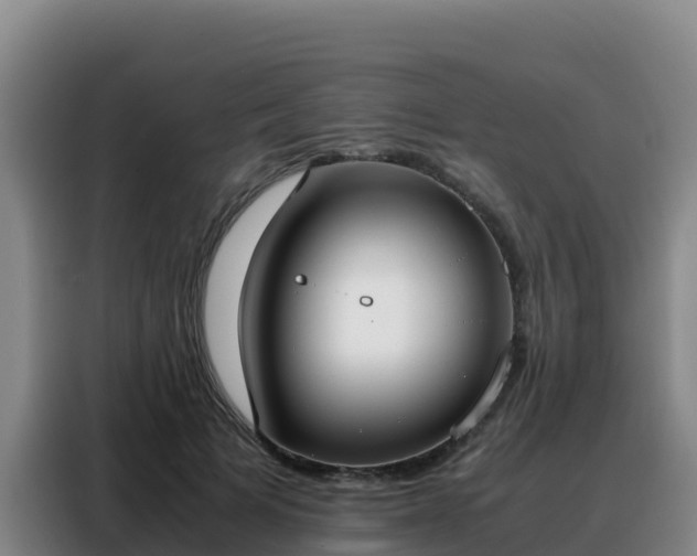 X0000088150697200705211156