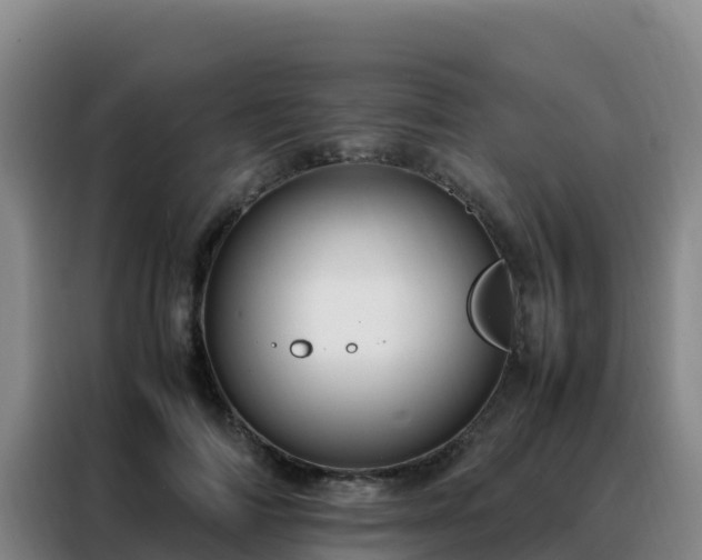 X0000088150698200705211156