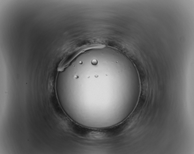 X0000088150699200705211156