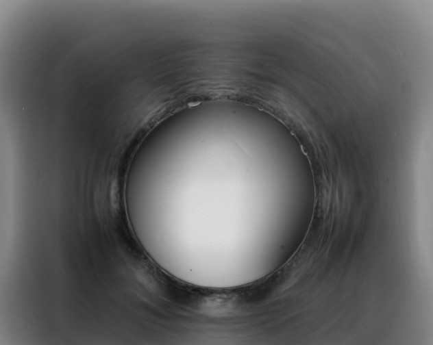 X0000088150700200705211156