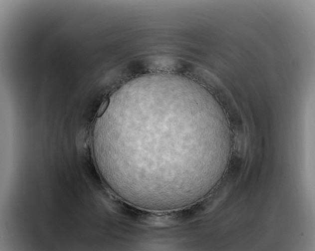 X0000088150701200705211156