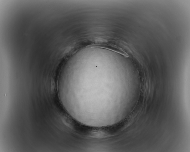 X0000088150704200705211156