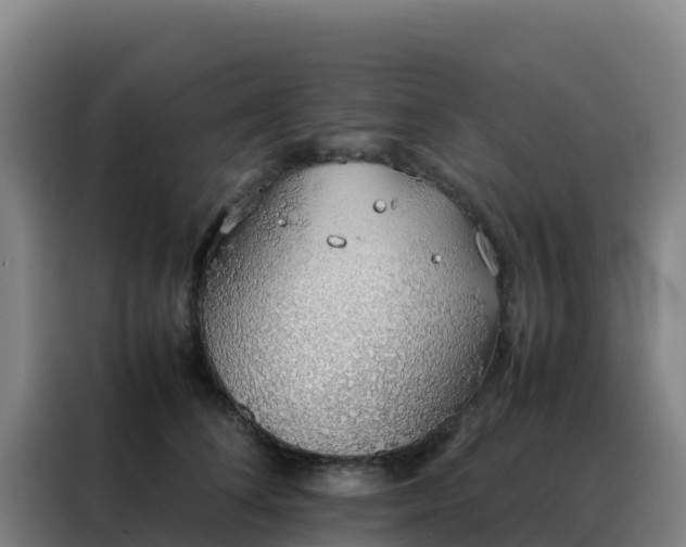 X0000088150708200705211156