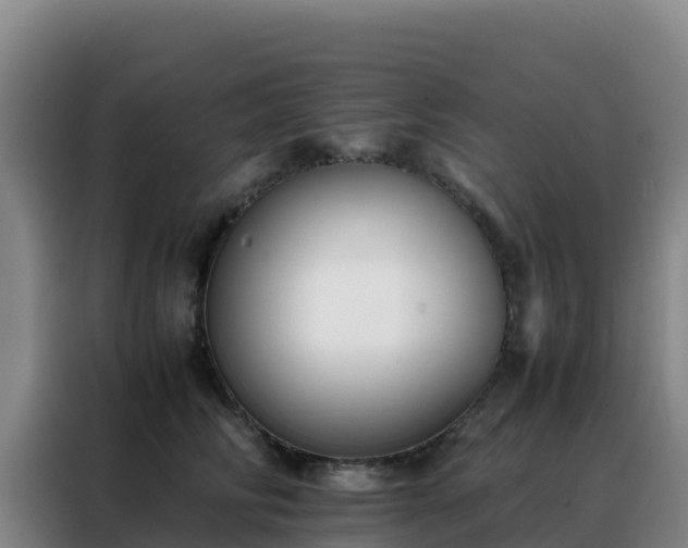 X0000088150710200705211156