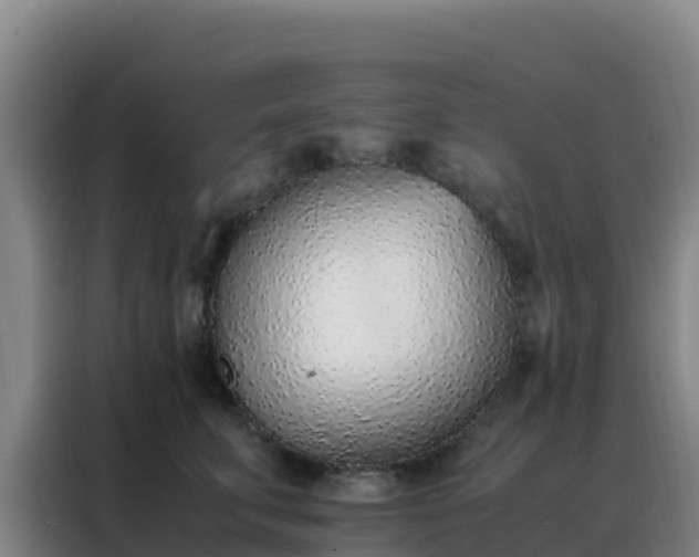 X0000088150711200705211156