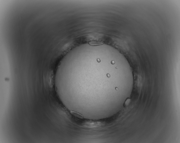 X0000088150712200705211156