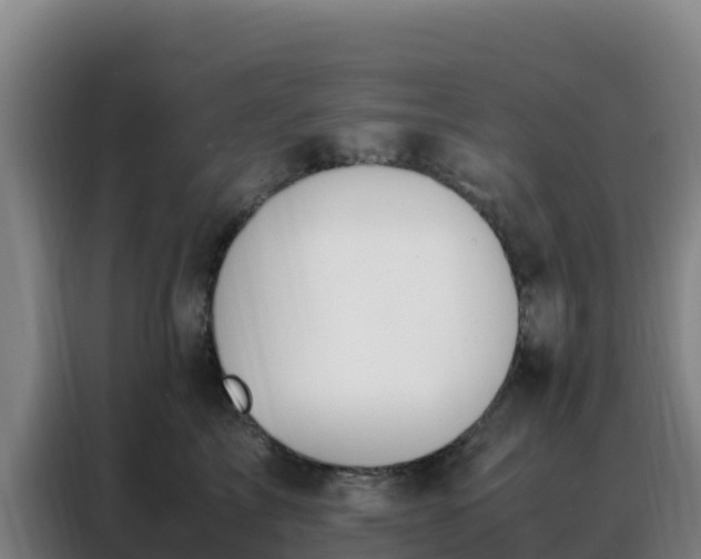 X0000088150713200705211156