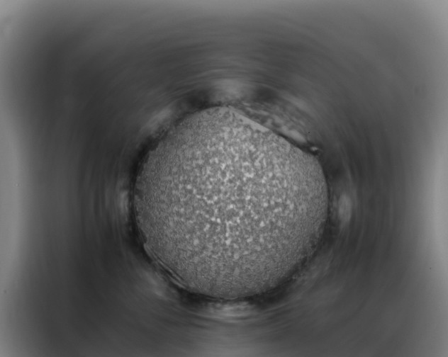 X0000088150716200705211156